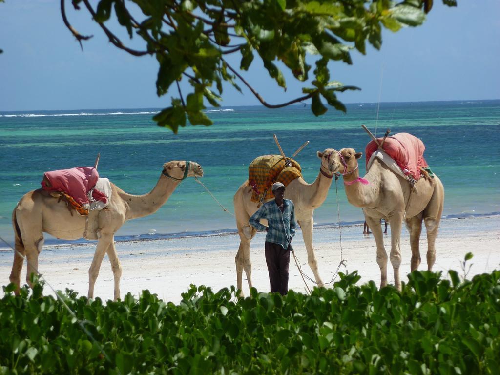 Lantana Galu Beach Diani Beach Exterior photo